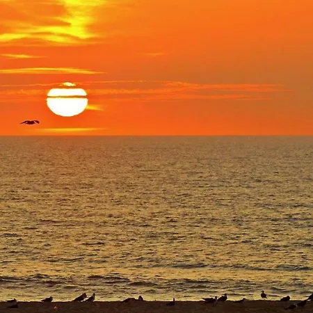 & Κάμπινγκ Torreira